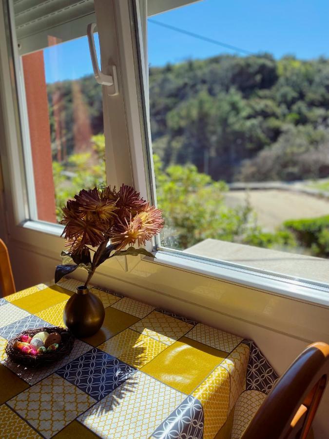 Zala Matusan Apartman