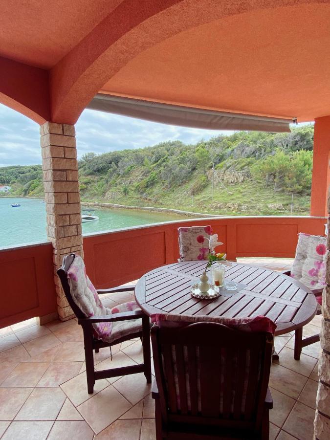Zala Matusan Apartment